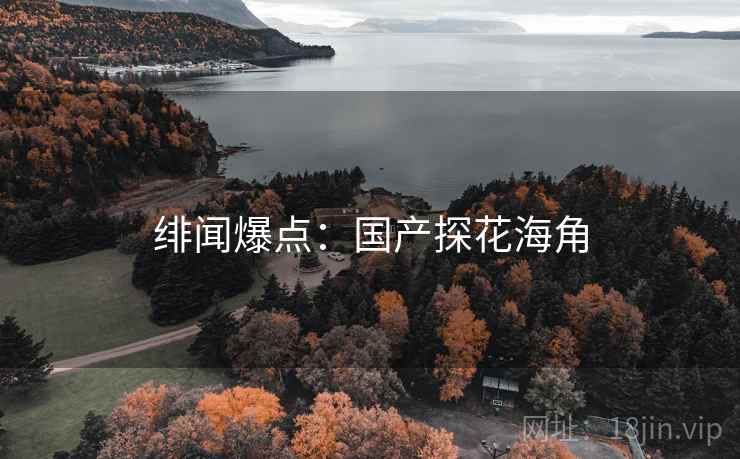 绯闻爆点：国产探花海角